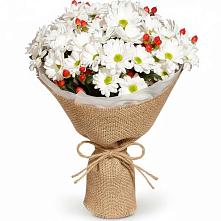 Букет цветов из:  Хризантемы #REPLACE_PRED# Кудымкаре