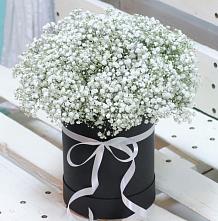 Цветочная композиция из Гипсофила в шляпной коробке в Кудымкаре